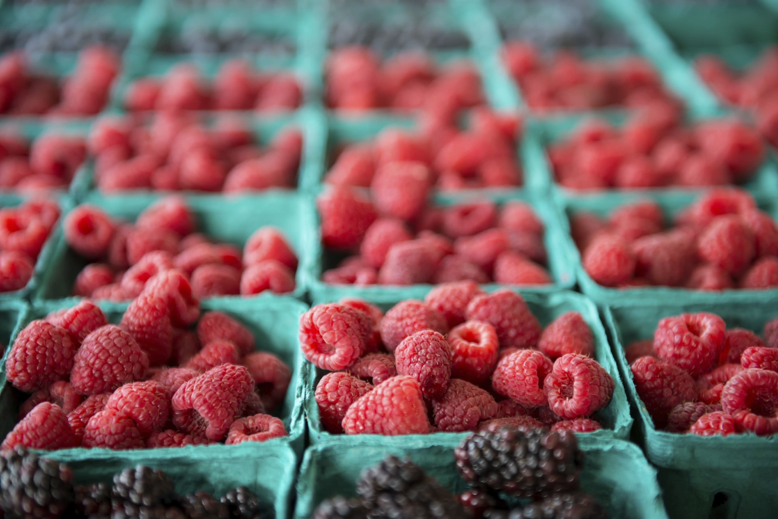 fresh raspberries